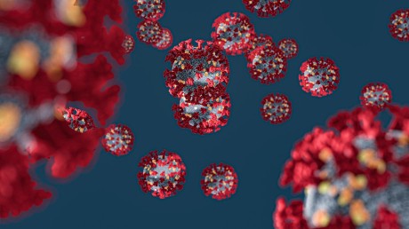 corona-virus-4932576_1920.jpg