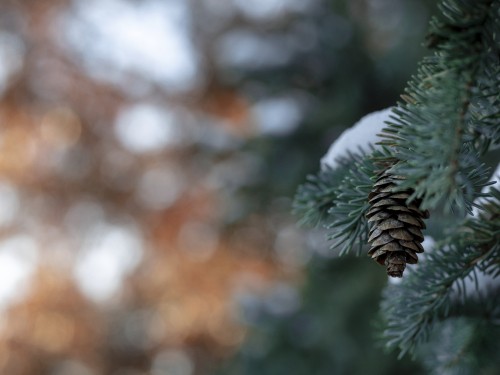 Bezoek Winterland