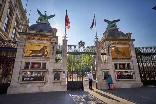 Uitstap: Zoo van Antwerpen